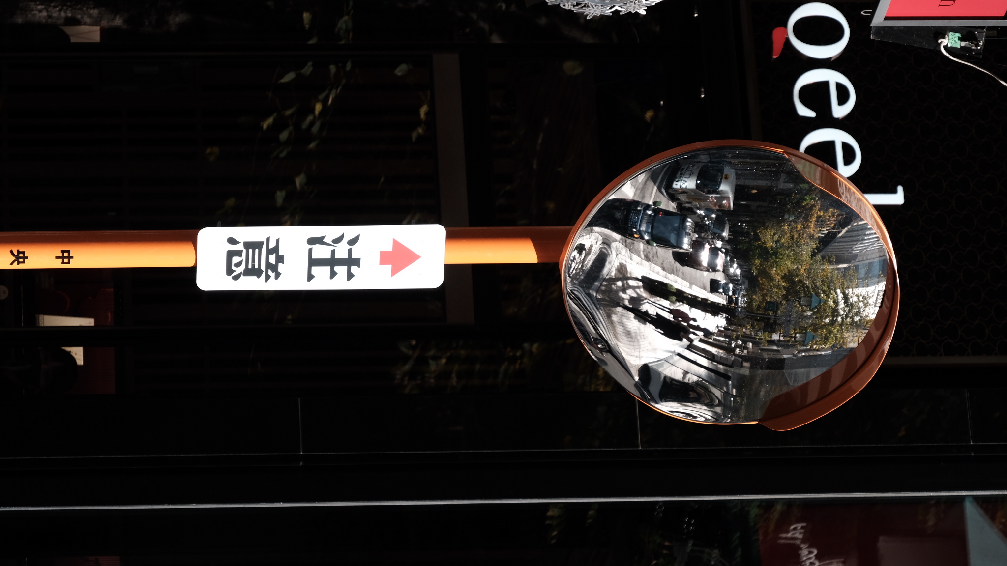 脳